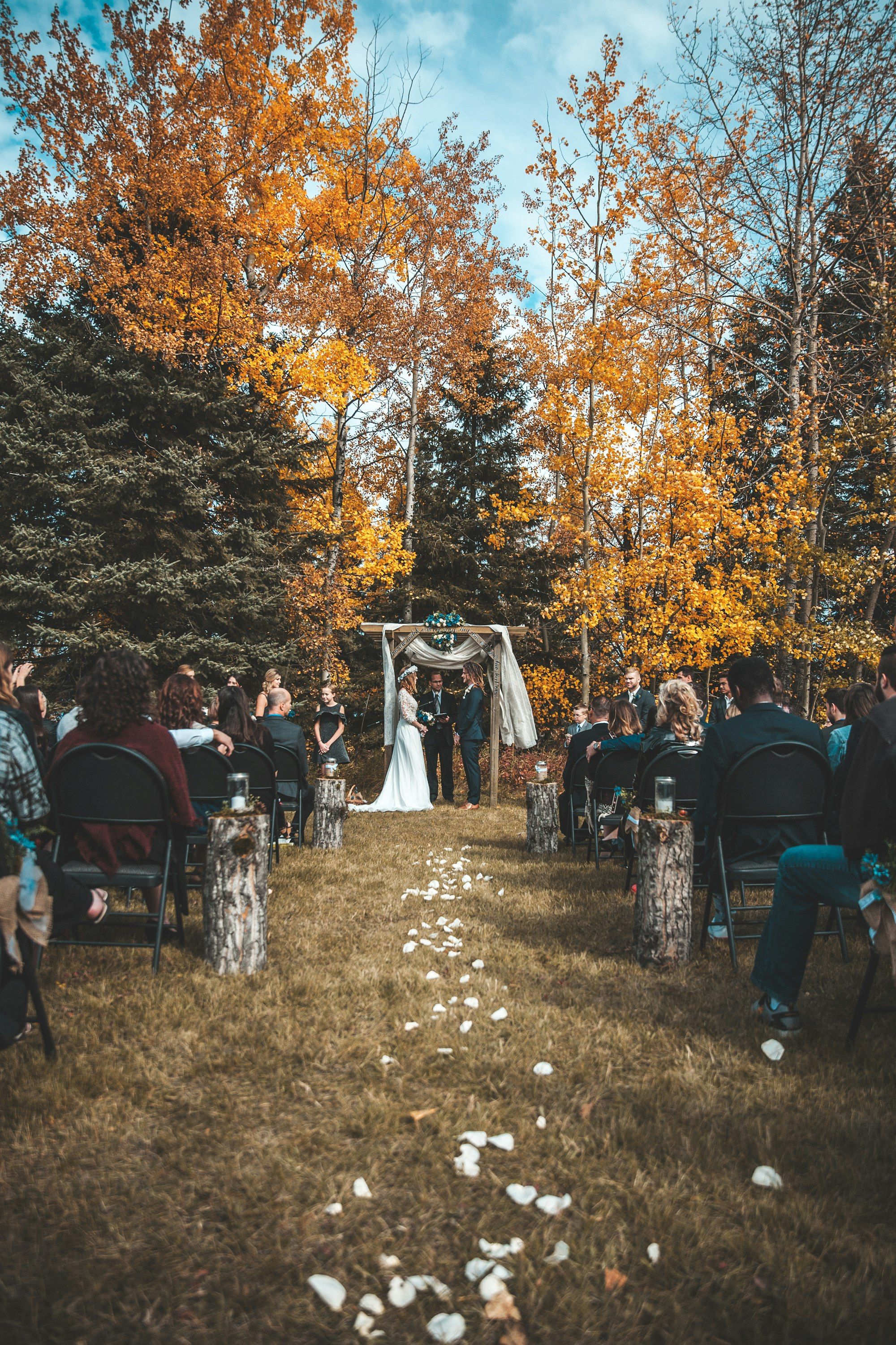 Guests seated for an outdoor ceremony among golden autumn trees